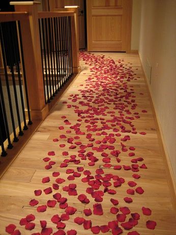 flowers-to-decorate-the-room