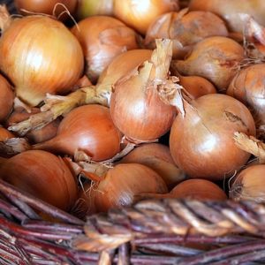 12 Best Onion Storage Ideas In Kitchen