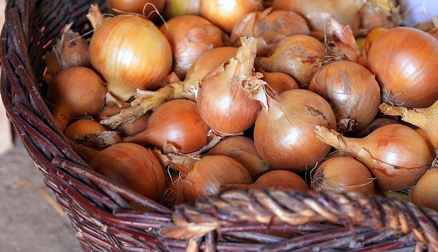 12 Best Onion Storage Ideas In Kitchen